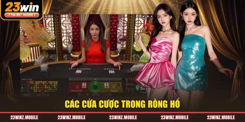 Các cửa cược trong Rồng Hổ